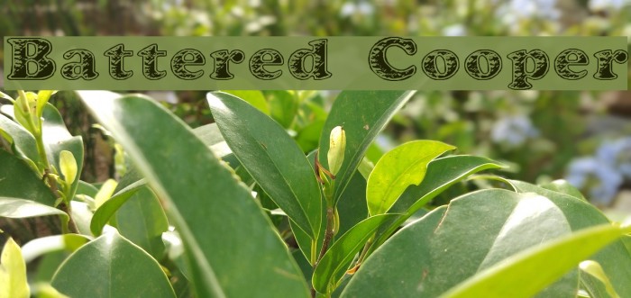 Battered Cooper Font examples