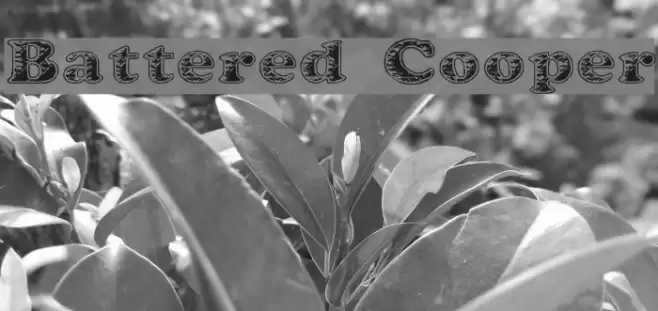 Battered Cooper Polices examples