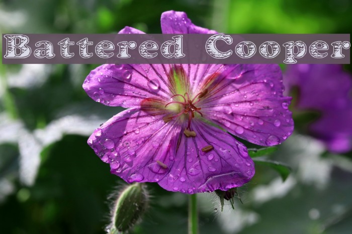Battered Cooper Font examples