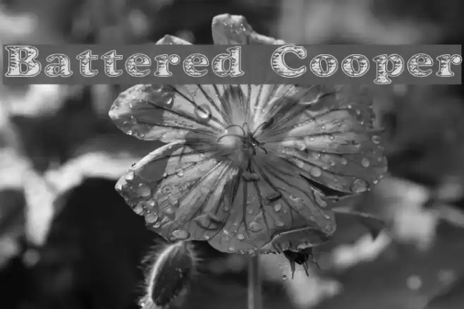 Battered Cooper Polices examples