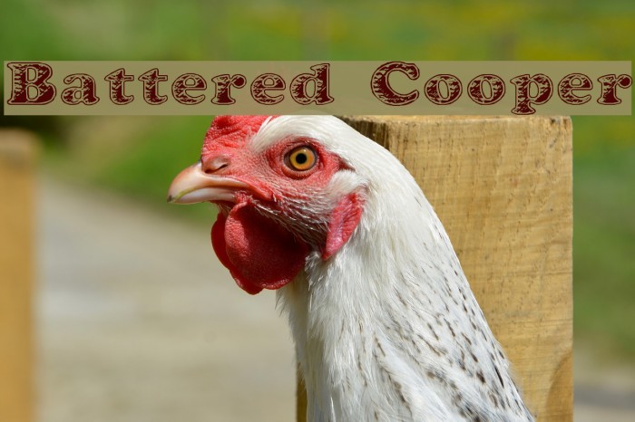 Battered Cooper Font examples