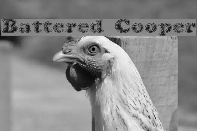 Battered Cooper Polices examples