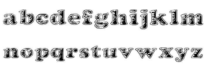 Battered Cooper Font LOWERCASE