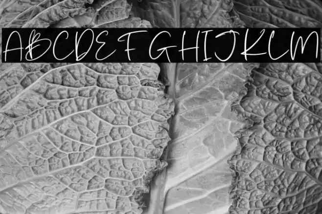 Batterlife Personal Use Font examples