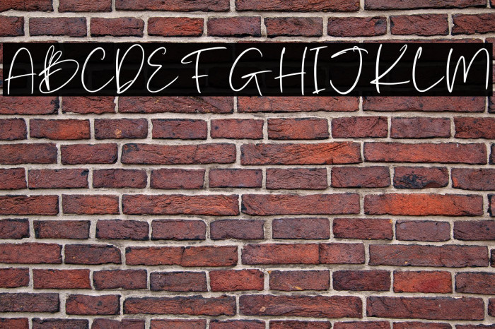 Batterlife Personal Use Example 2