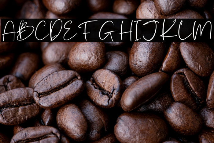 Batterlife Personal Use Example 3