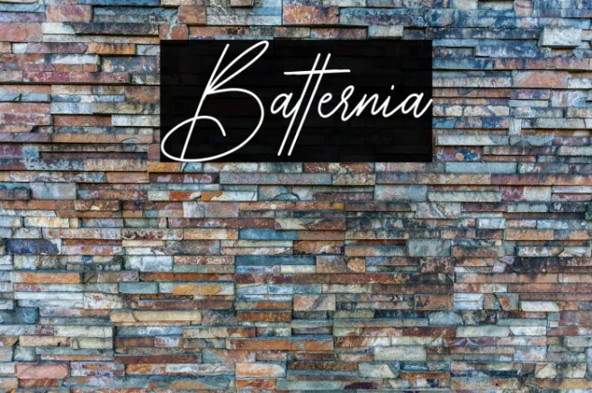 Batternia Example 1