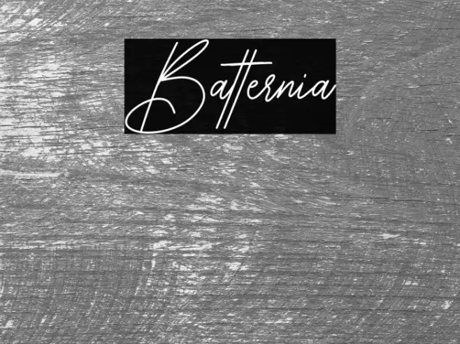 Batternia Example 2