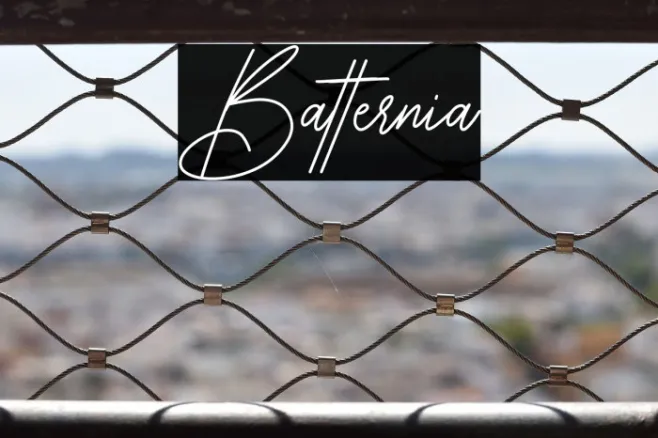 Batternia Example 3