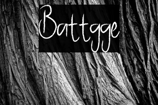 Battgge Font examples