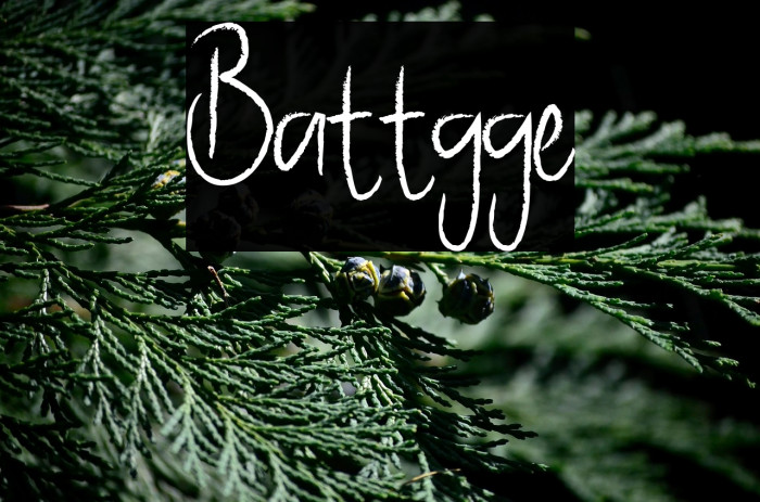 Battgge Example 2