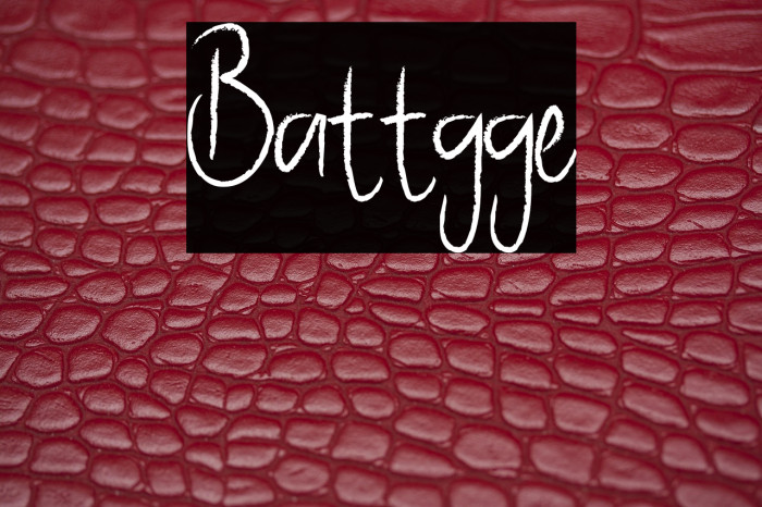 Battgge Example 3