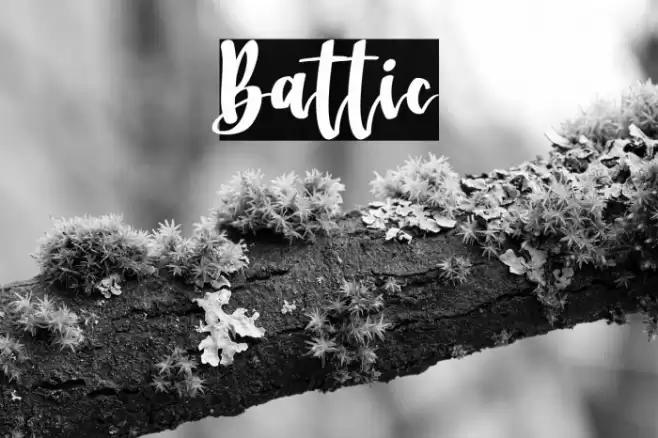 Battic Font examples