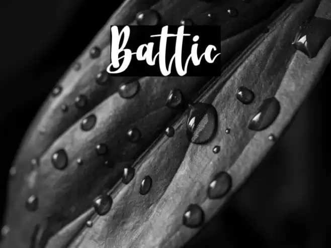 Battic Font examples