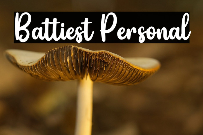 Battiest Personal Example 2