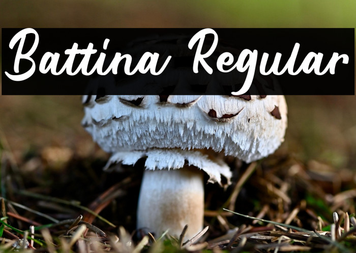 Battina Regular Example 1