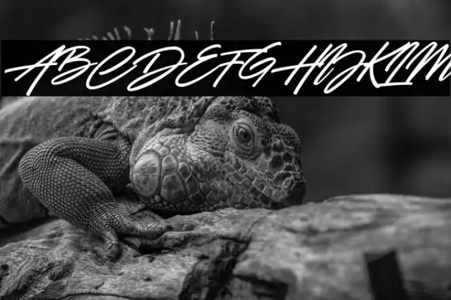 Battle Andy Italic Font | Free Download (TTF/OTF) | FFonts.n