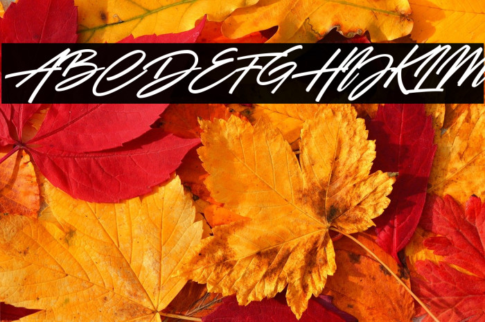 Battle Andy Italic Example 3