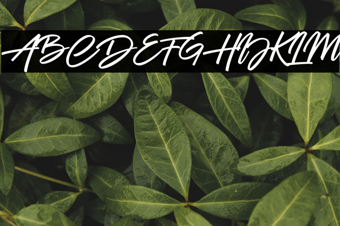 Battle Andy Example 1