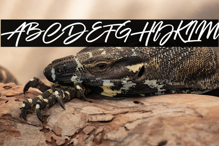 Battle Andy Example 2