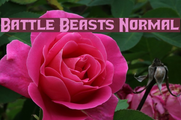 Battle Beasts Normal Font examples