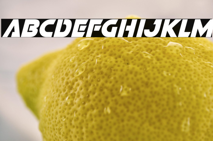 Battle Bots Italic Example 2