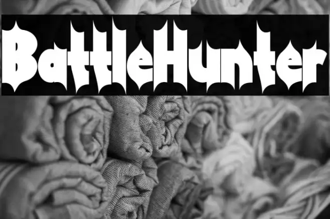 Battle Hunter Example 1