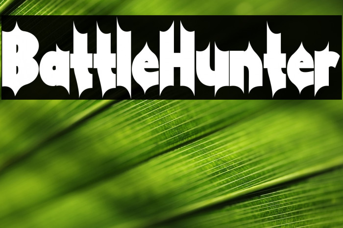 Battle Hunter Example 2