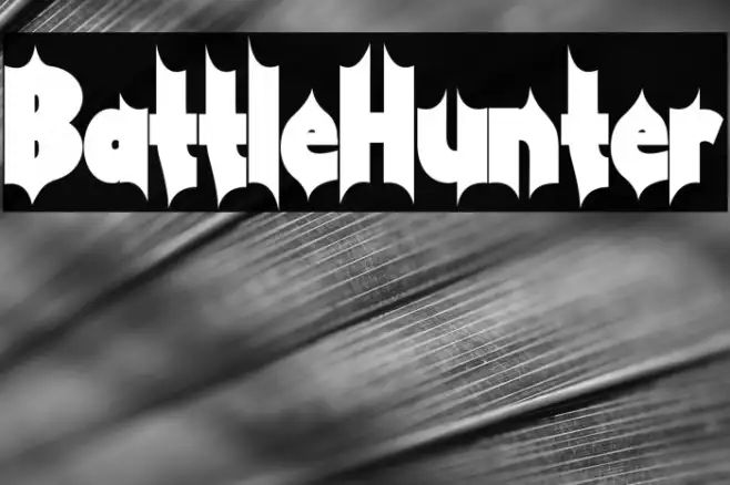 Battle Hunter Example 2