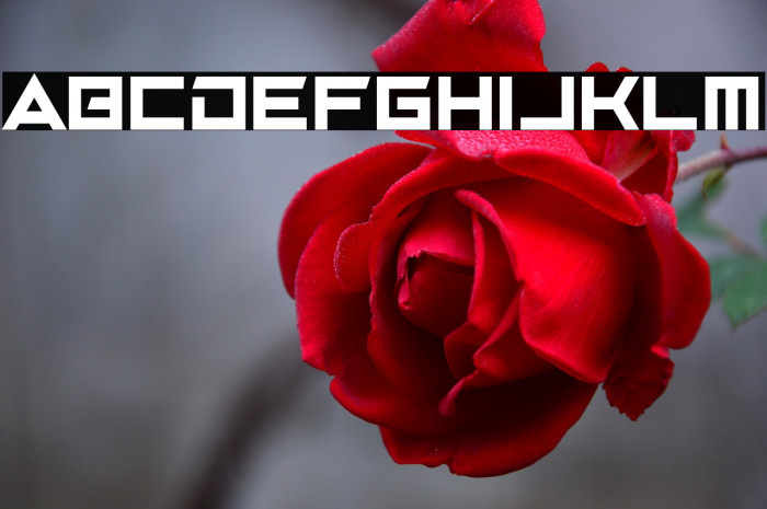 Battle Tough Example 3