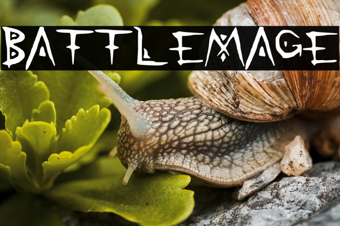 BattleMage Example 1