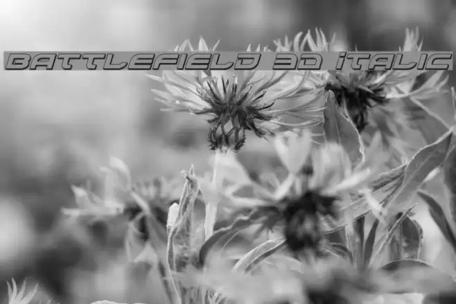 Battlefield 3D Italic Font examples