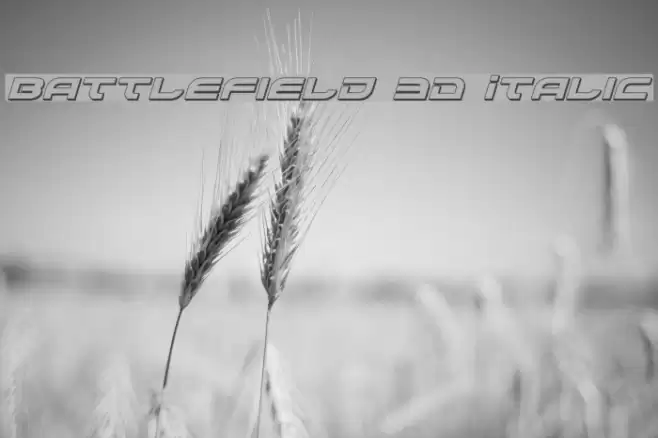 Battlefield 3D Italic Font examples