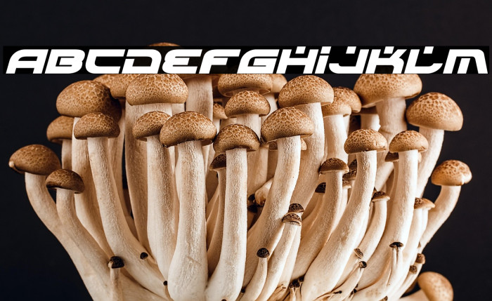 Battlefield Bold Italic Example 1