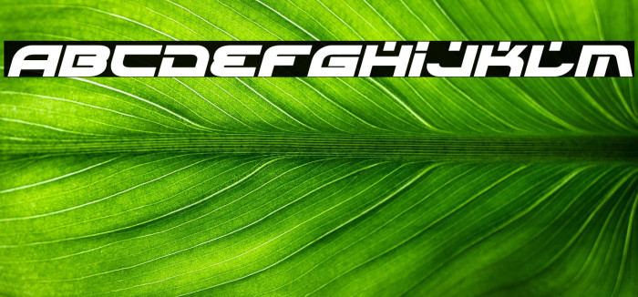 Battlefield Bold Italic Example 3