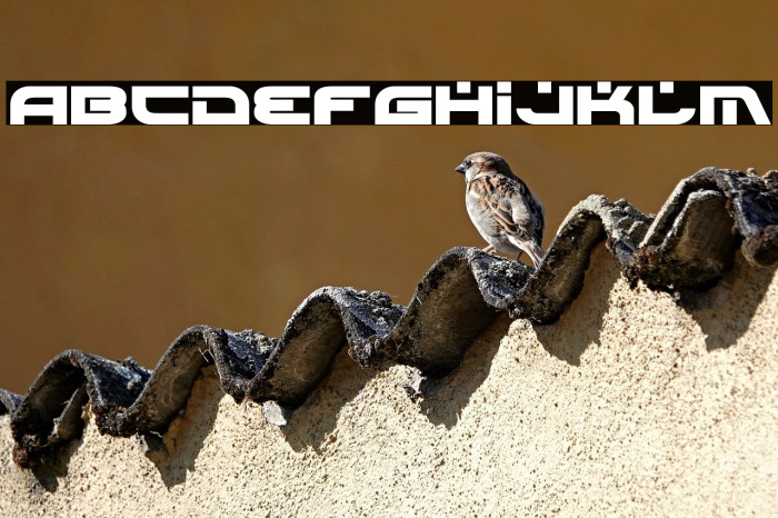 Battlefield Bold Example 1