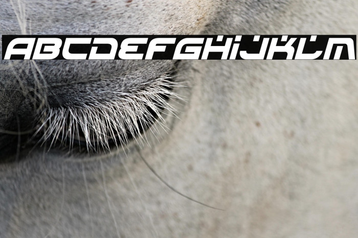 Battlefield Condensed Italic Example 2