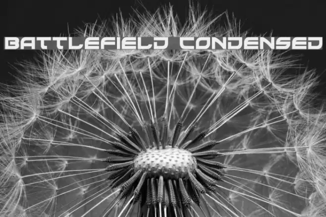 Battlefield Condensed Шрифта examples