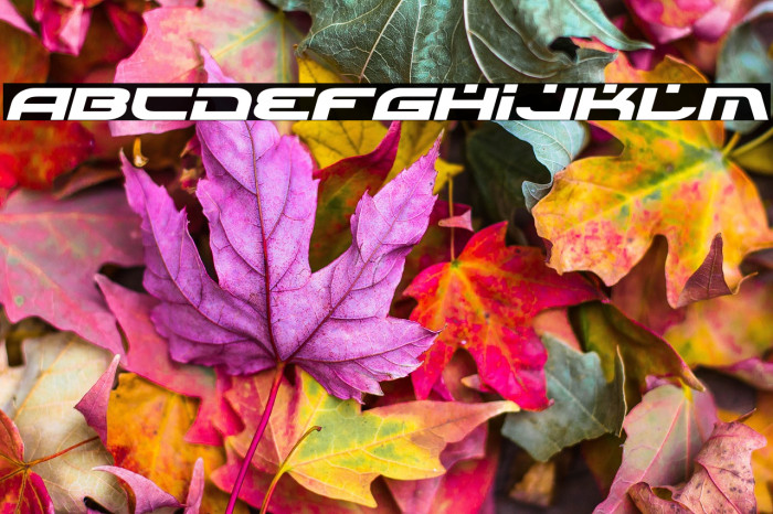 Battlefield Expanded Italic Example 1