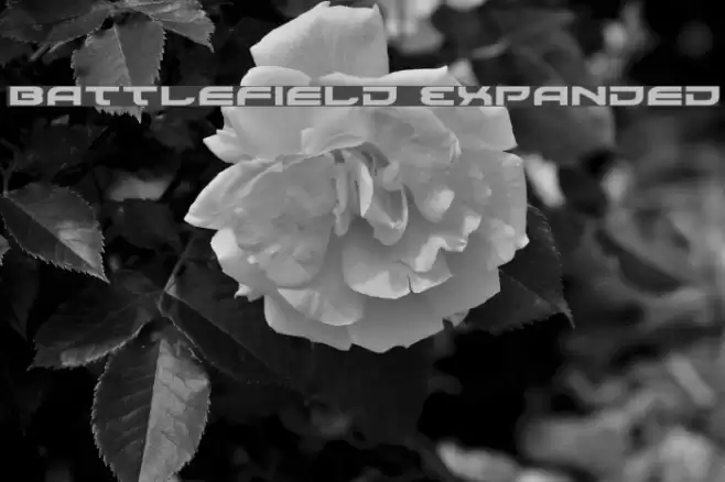 Battlefield Expanded Font examples