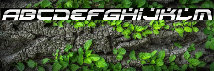 Battlefield Halftone Italic Example 1