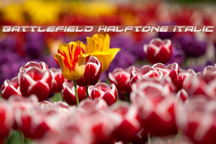 Battlefield Halftone Italic Example 3