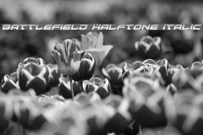 Battlefield Halftone Italic Font examples