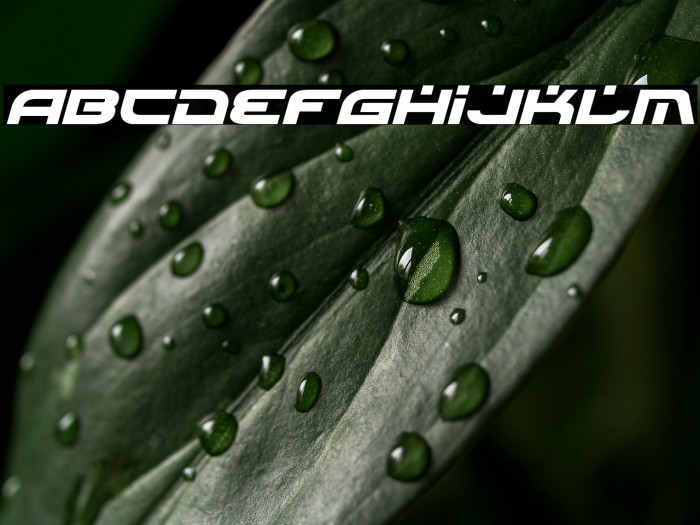 Battlefield Italic Example 2