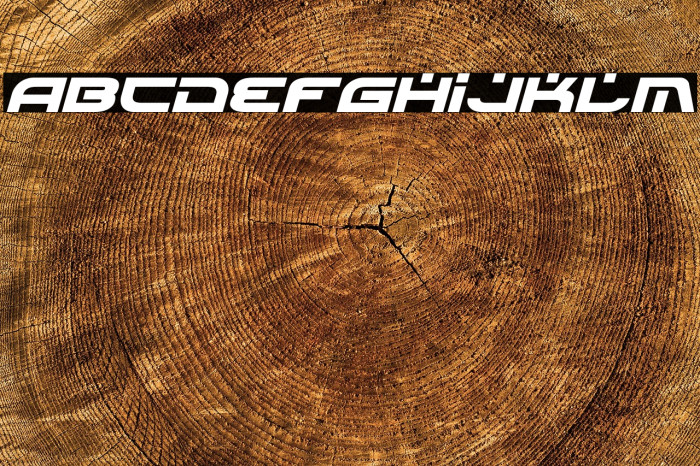 Battlefield Italic Example 3