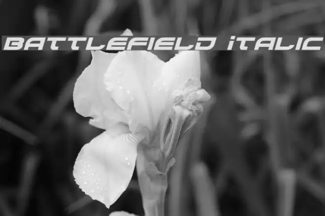 Battlefield Italic Schriftart examples
