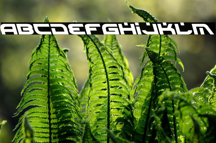 Battlefield Leftalic Example 1