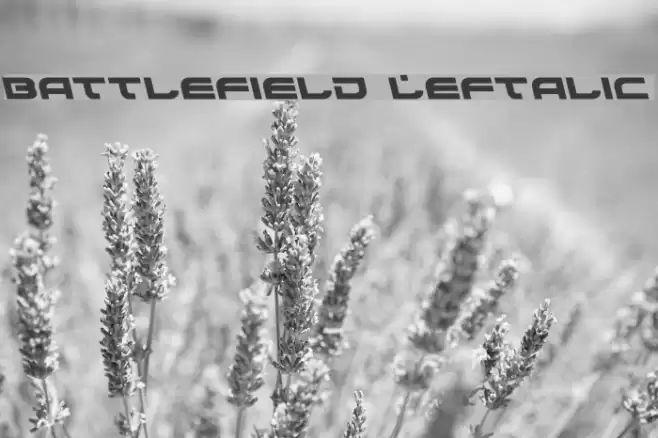 Battlefield Leftalic Font examples