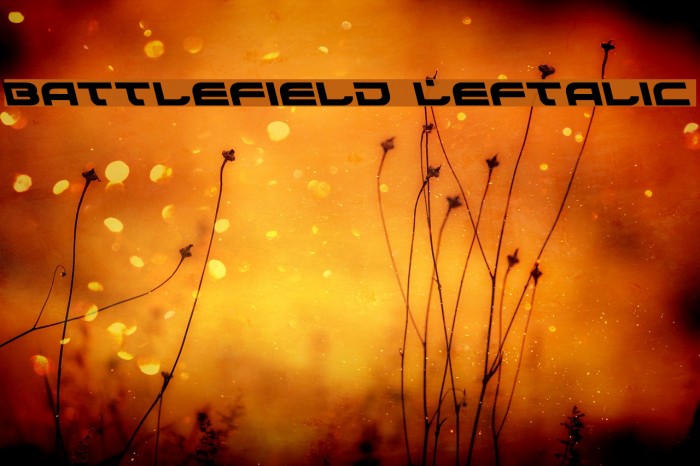 Battlefield Leftalic Font examples