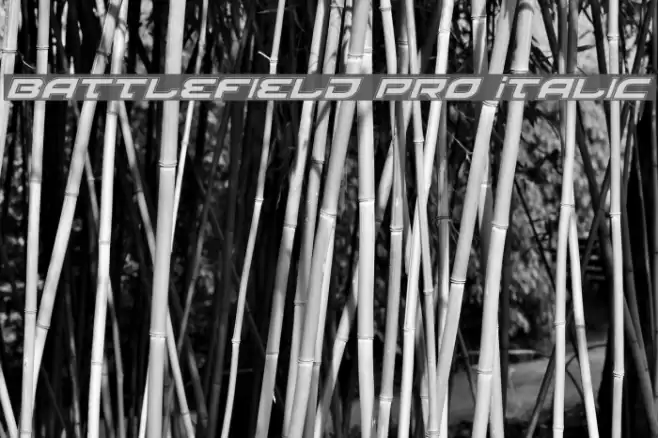 Battlefield Pro Italic フォント examples